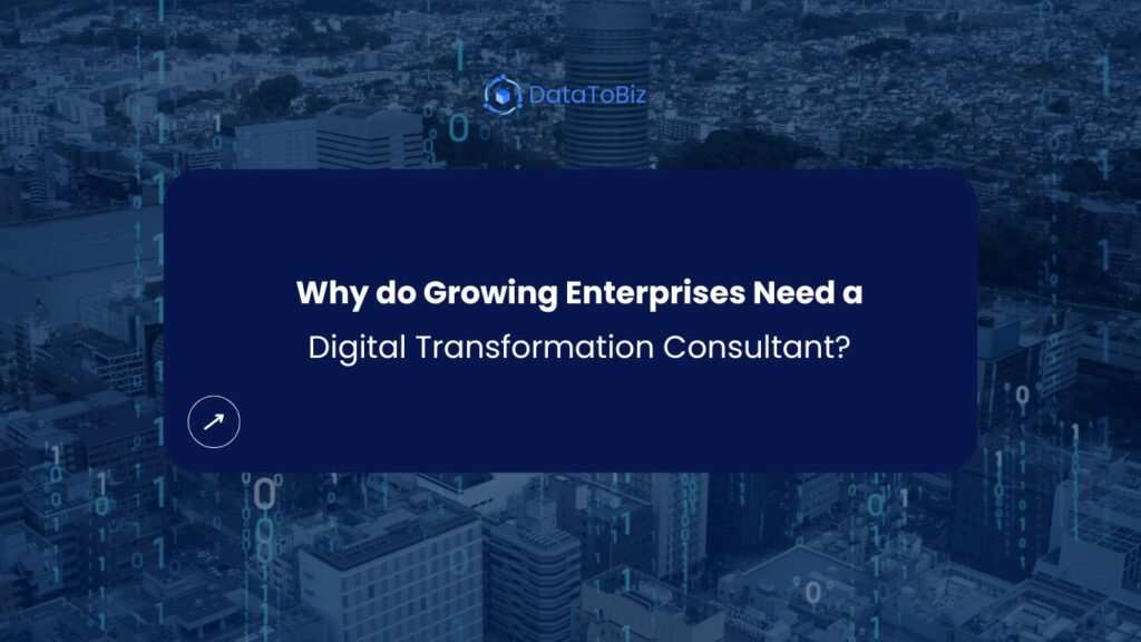 Digital Transformation Consultant - DataToBiz